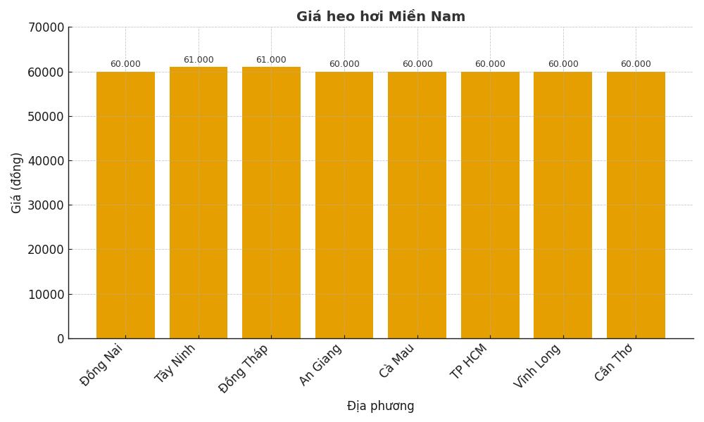 Gia heo hoi hom nay 16.9 o mien Nam. Do hoa: Thuy Linh