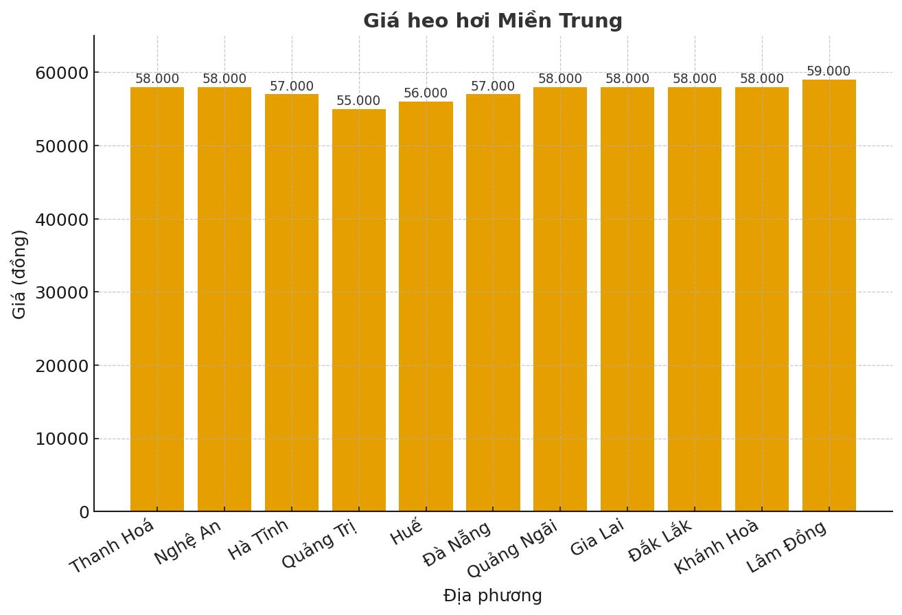 Gia heo hoi hom nay 16.9 o mien Trung. Do hoa: Thuy Linh