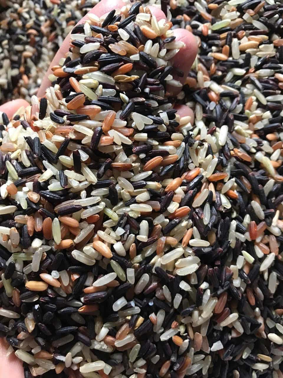 Brown rice is one of the lunch dishes that helps improve liver and kidney function. Photo: Quang Minh.