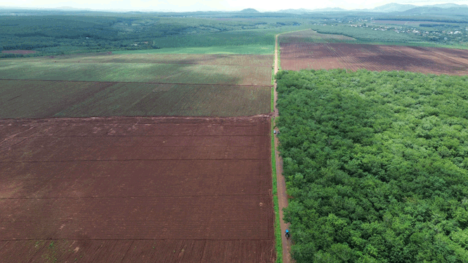 People need land for production to stabilize their lives and income. Photo: Thanh Tuan