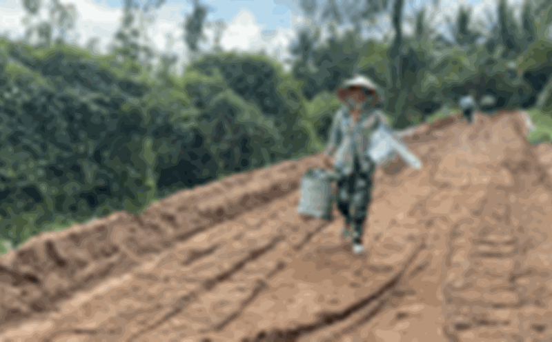 People are happy that the road is being accelerated, making travel and business more convenient. Photo: Hoang Loc