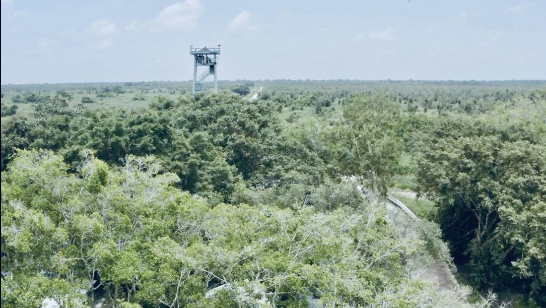 Fire-prone hut in U Minh Ha forest. Photo: Hai An