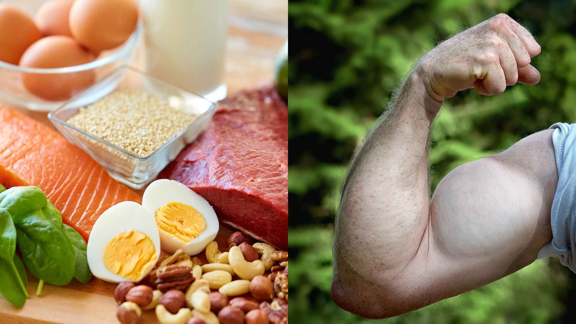 Principles of protein intake to support building sustainable muscle