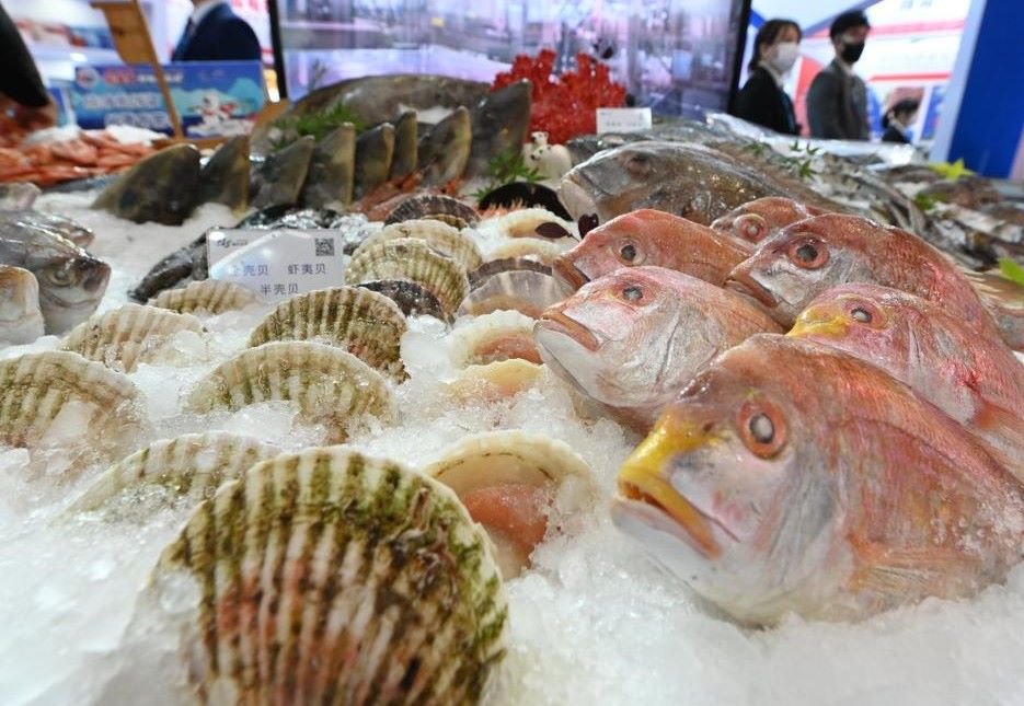 살아있는 해산물은 식인 박테리아인 Vibrio vulnificus에 쉽게 감염됩니다. 사진: 신화통신