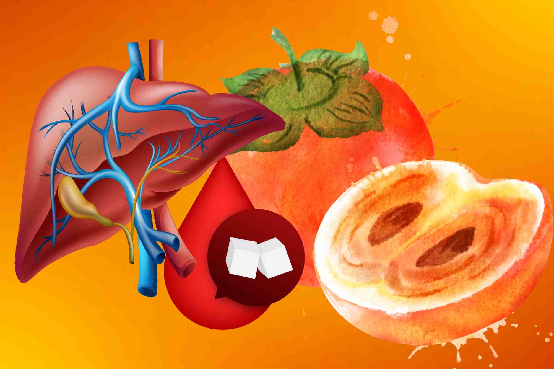 The right way to eat persimmons to protect the liver, control blood sugar