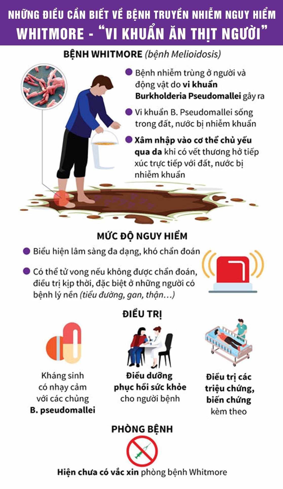 The health sector's recommendations on Whitmore disease (also known as flesh-eating bacteria). Photo: Ngoc Anh