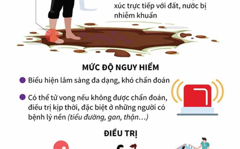 The health sector's recommendations on Whitmore disease (also known as flesh-eating bacteria). Photo: Ngoc Anh