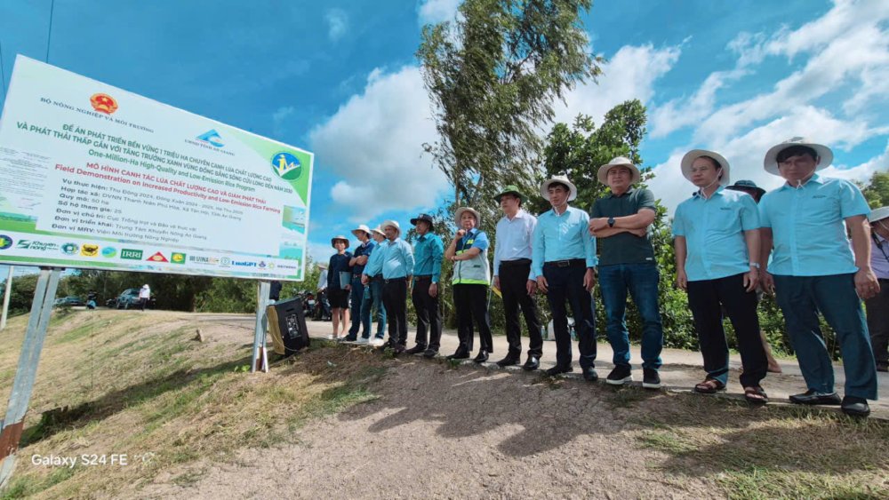 Visite du modele de culture de riz de haute qualite et de reduction des emissions dans la cooperative de services agricoles de la jeunesse de Phu Hoa. Photo : Nguyen Anh