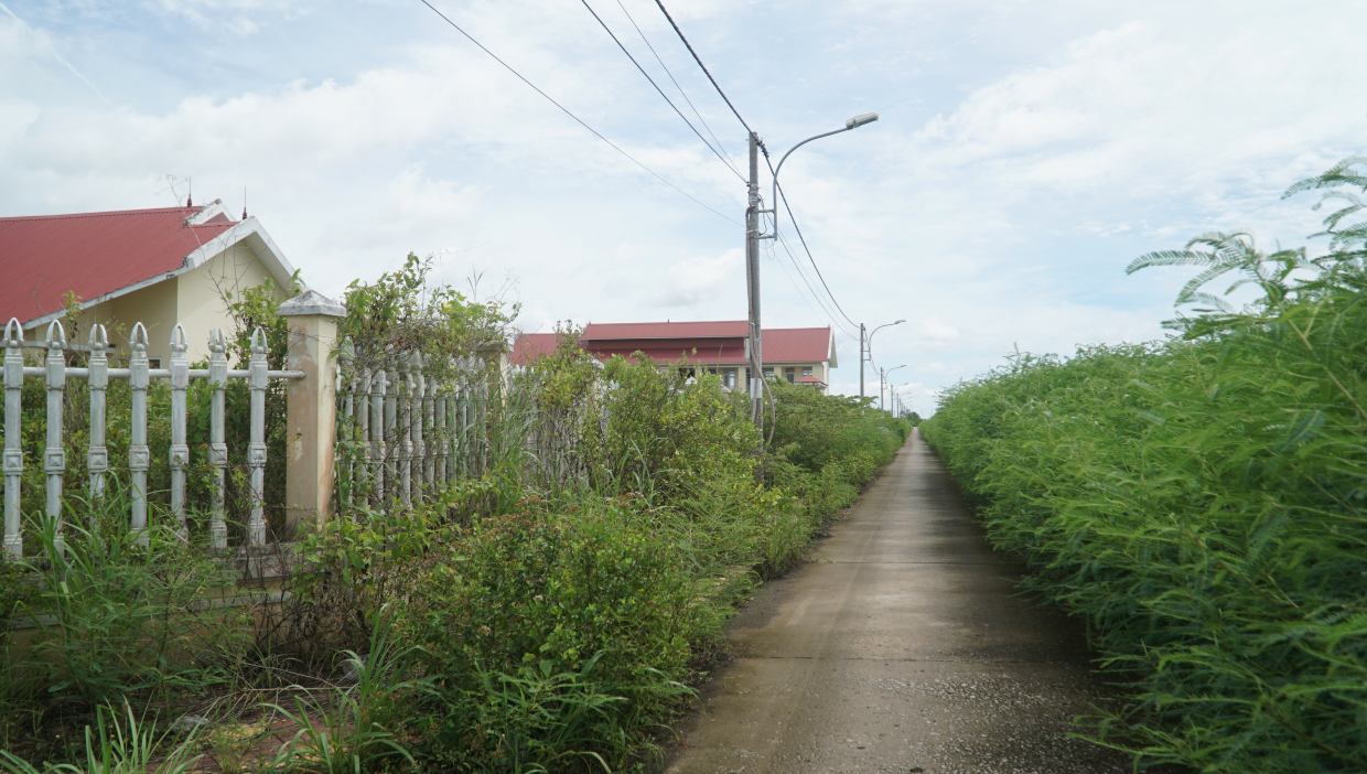 Khu Dan cu va tai dinh cu di dan ra khoi rung tai ap Buu 2, xa Dong Hai. Anh: Nhat Ho
