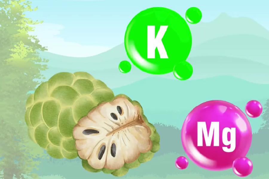 Unexpected benefits of eating fruit