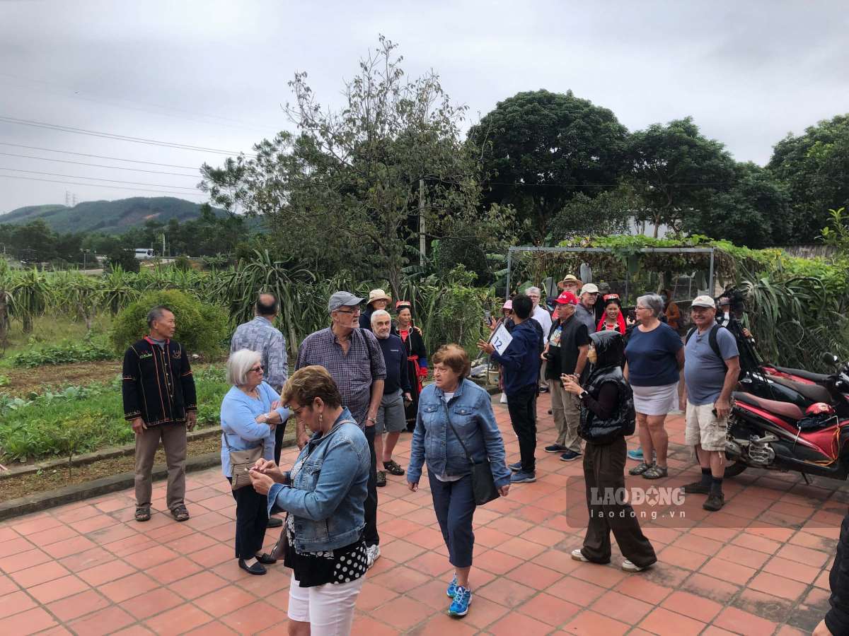 International cruise ship tourists visit houses in mountainous communes of the old Ha Long City. Photo: Nguyen Hung