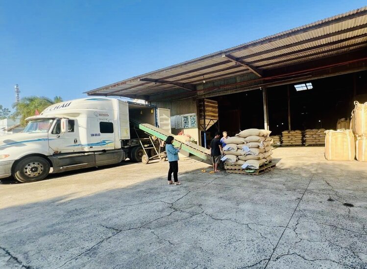Des entreprises de Dak Lak mettent du cafe dans des conteneurs pour se preparer a exporter vers des partenaires etrangers. Photo : Bao Trung