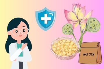 Tips for some health benefits of lotus seeds