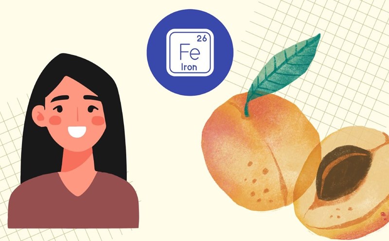 Dried regurgots are a food that helps supplement iron for the body. Graphics: Thuc Quyen