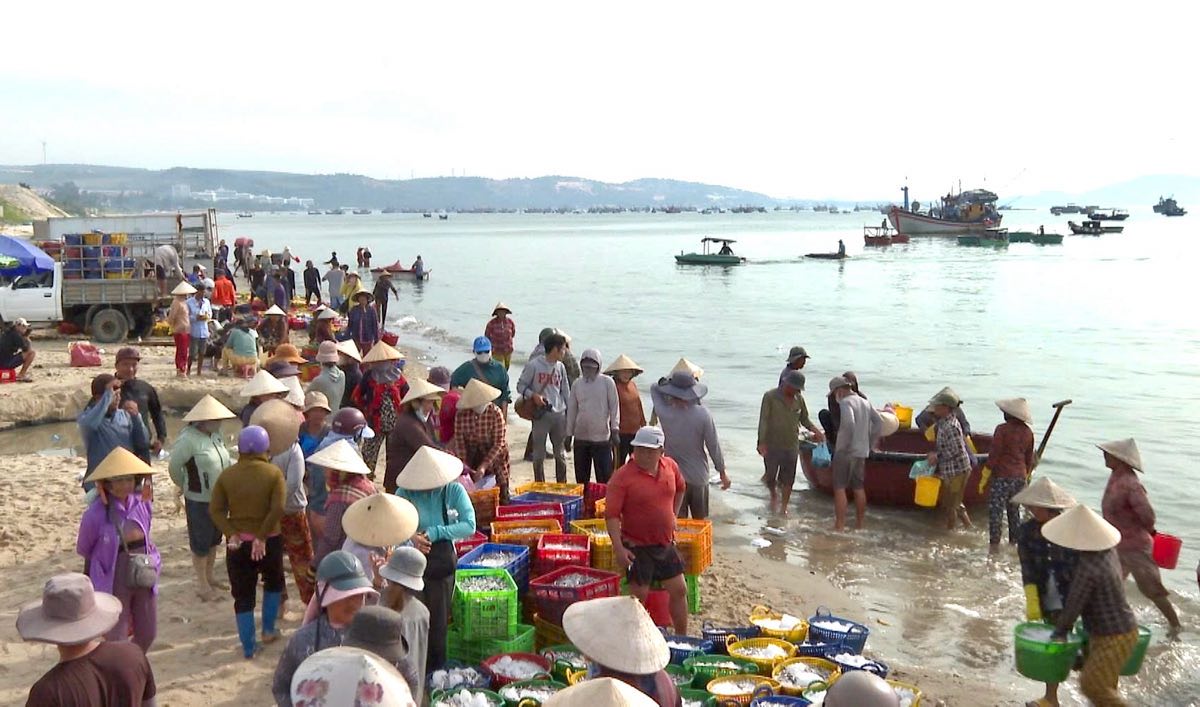 Bai sau Mui Ne nhon nhip tau thuyen cap ben vao sang som. Anh: Duy Tuan 