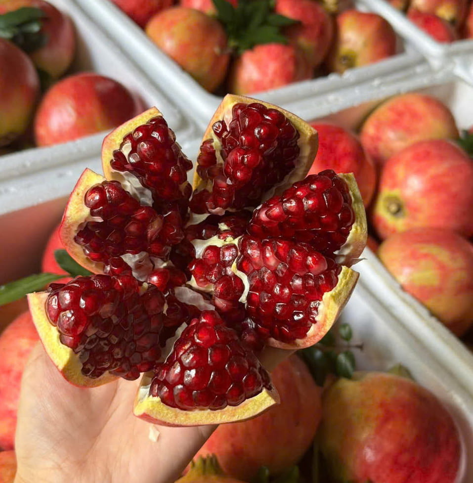 석류 주스는 혈중 지방 감소에 유익한 것으로 과학적으로 입증된 천연 음료 중 하나입니다. 사진: Quang Minh.