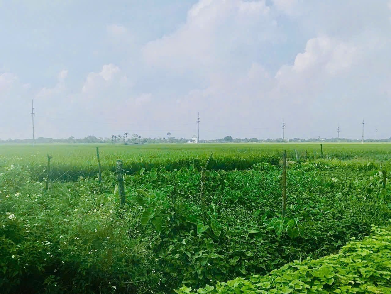 Nhiều hộ muốn chuyển nhượng nhưng giá thấp vì chưa có "sổ đỏ". Ảnh: ĐH