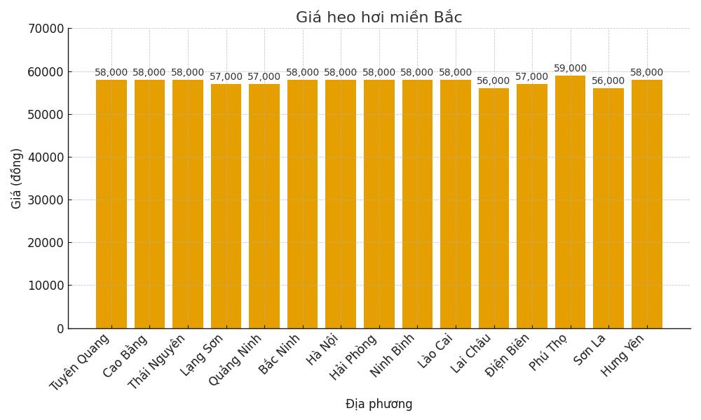 Gia heo hoi hom nay 17.9 o mien Bac. Do hoa: Thuy Linh
