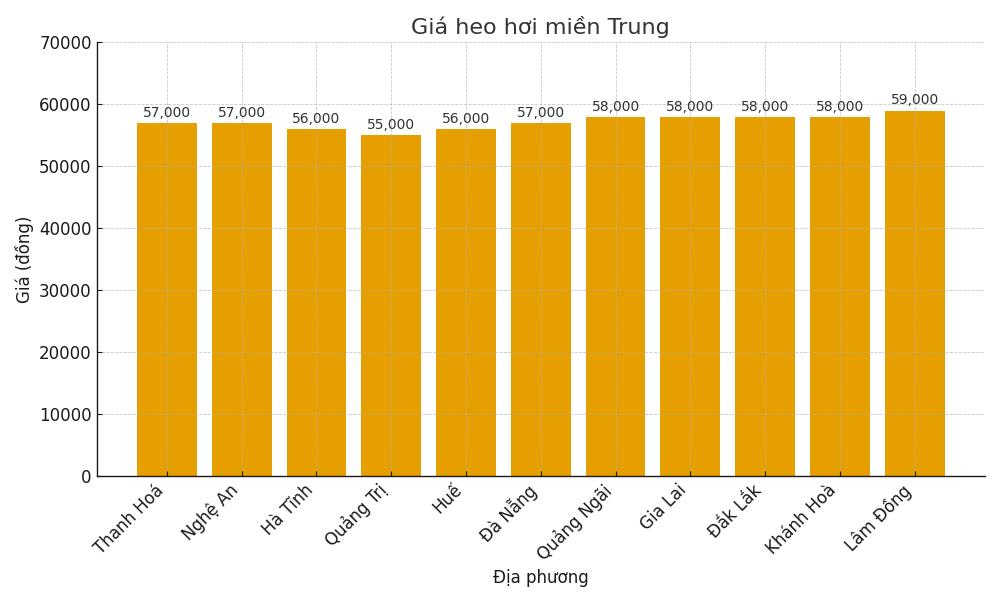 Gia heo hoi hom nay 17.9 o mien Trung. Do hoa: Thuy Linh