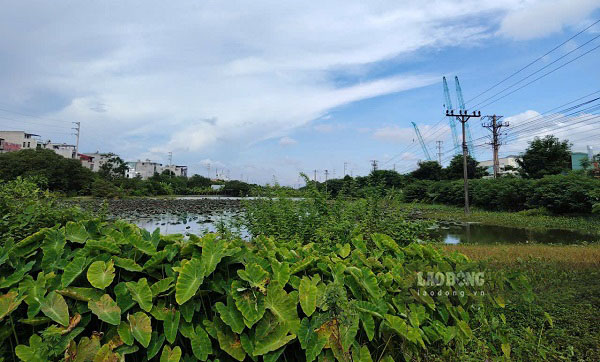 Hiện trạng khu đất được quy hoạch là dải cây xanh trước cổng KCN Tiên Sơn (tỉnh Bắc Ninh). Ảnh: PV