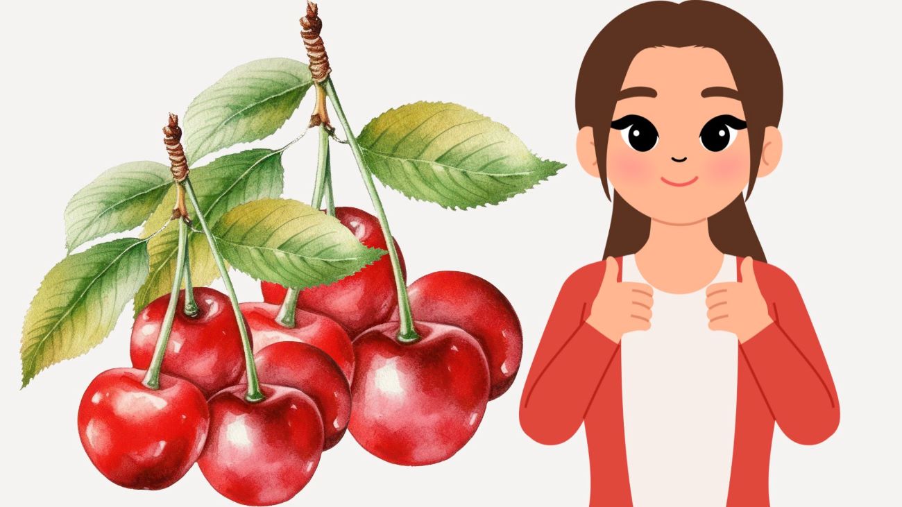 桃には健康に多くの利点があります。イラスト:Thanh Thanh