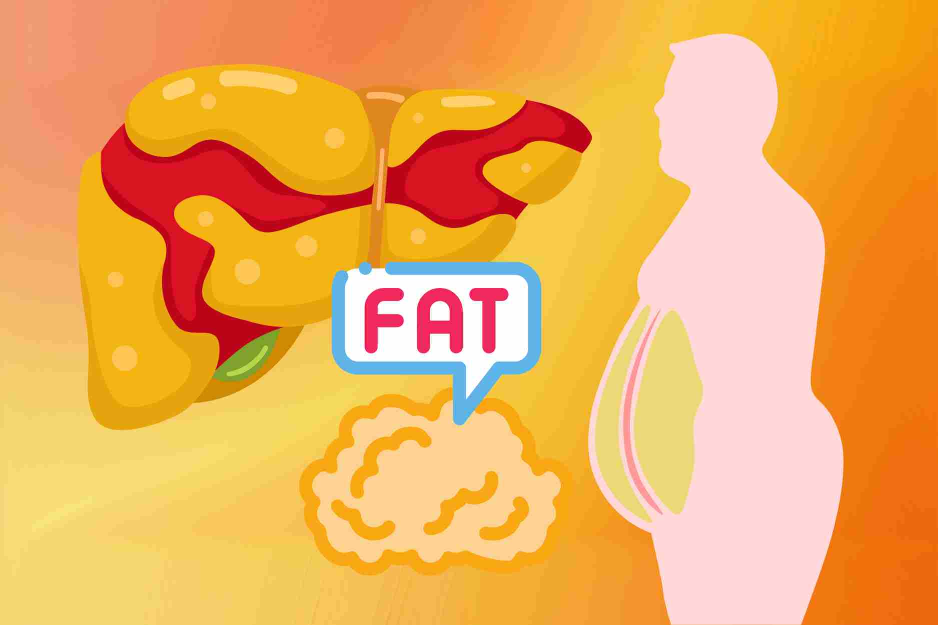 Simple tips at home to help reduce visceral fat, control fatty liver