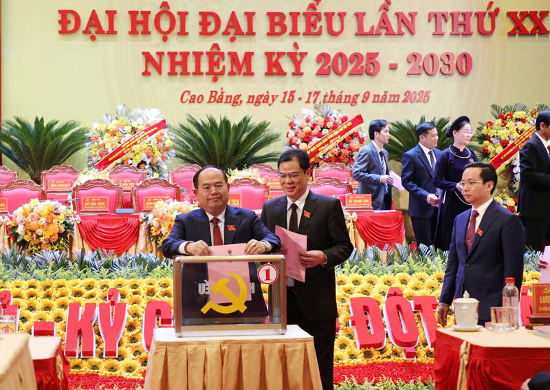 Quan Minh Cuong 씨(투표 중인 사람)가 까오방성 당위원회 서기로 재선되었습니다. 사진: Khanh Duy