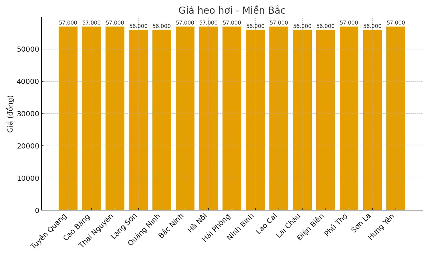 Gia heo hoi hom nay 22.9 tai mien Bac. Do hoa: Thuy Linh.