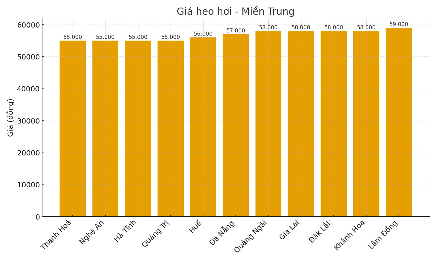 Gia heo hoi hom nay 22.9 tai mien Trung. Do hoa: Thuy Linh.