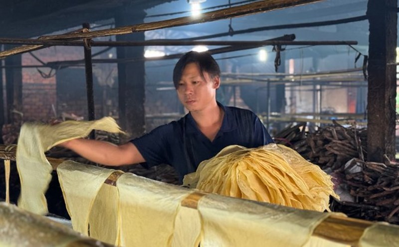 Capital from the Employment Fund has become a fulcrum to stabilize the lives of 163 Vinh Long workers. Photo: Hoang Loc
