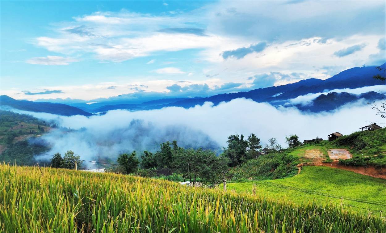 Clouds and rice in La Pan Tan (Mu Cang Chai). Photo: Thao A Su