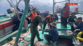 Arrest of wanted subject on fishing boat in Con Dao. Photo: Border Guard