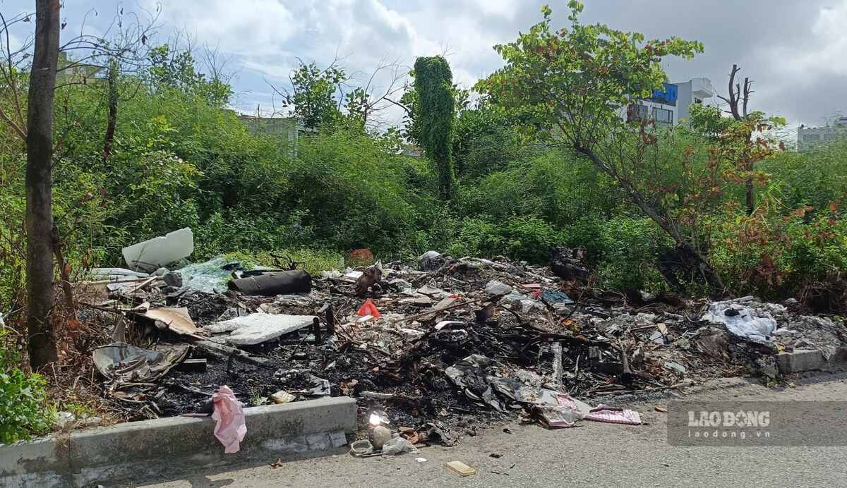 ハイフォン市レ・クアン・ダオ通り沿いの花畑エリアのぼやけた光景。写真:Mai Dung