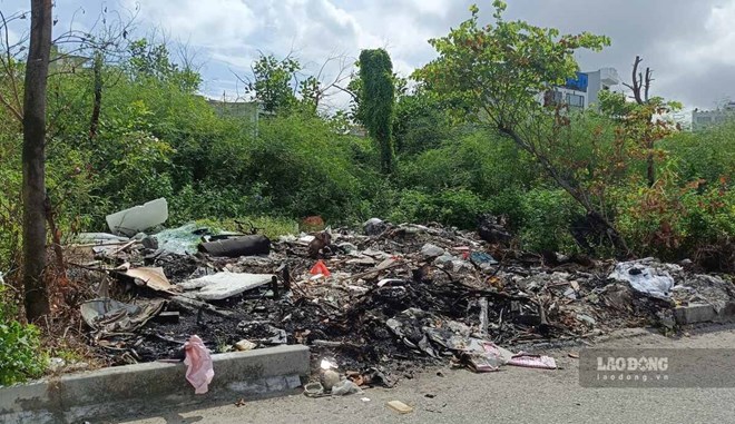 Vườn hoa giữa trung tâm TP Hải Phòng như bãi cỏ hoang, rác thải tràn lan