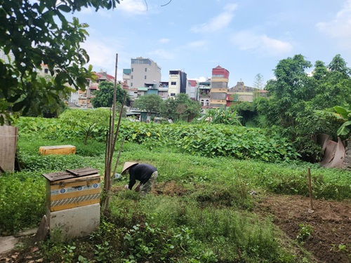 Vướng mặt bằng khiến dự án chậm tiến độ gần 10 năm. Ảnh: Minh Hạnh 