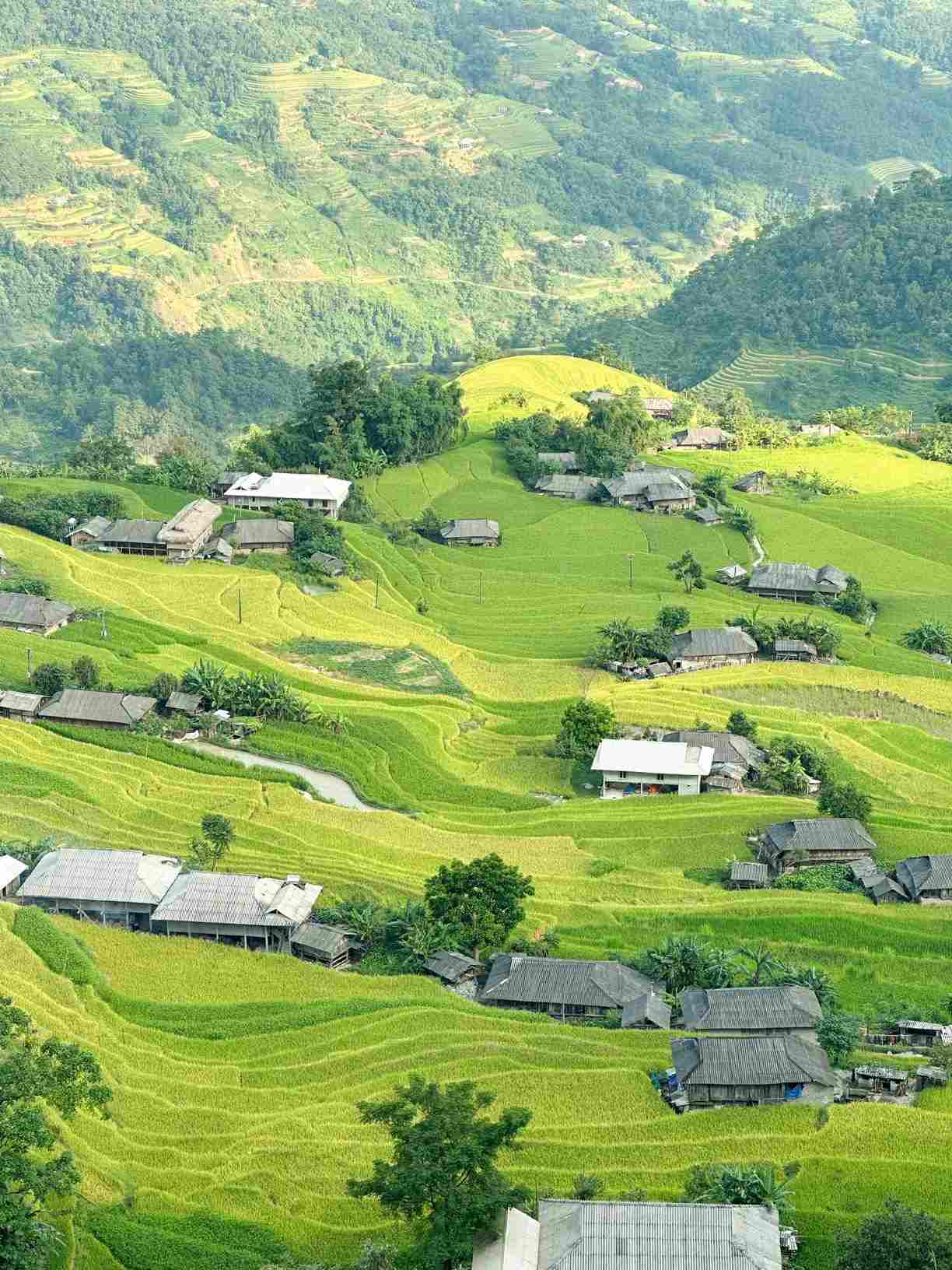 Ban Phung គឺជាផ្ទះរបស់ជនជាតិ La Chi ដែលផ្ទះឈើដ៏សាមញ្ញ បន្ថែមភាពរស់រវើកដល់រដូវមាសនៅតំបន់ខ្ពង់រាប។ រូបថត៖ Hoang Ba Dinh