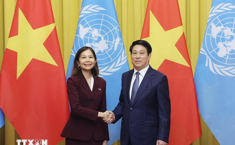 Politburo member and President Luong Cuong received United Nations Permanent Coordinator Pauline Tamesis. Photo: VNA