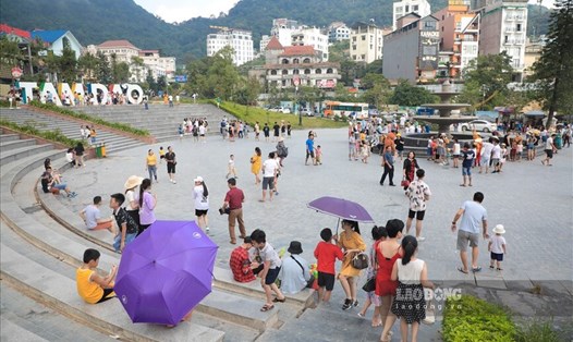 Tam Đảo là một điểm du lịch hút khách của Phú Thọ (thuộc tỉnh Vĩnh Phúc cũ). Ảnh: Thế Kỷ.