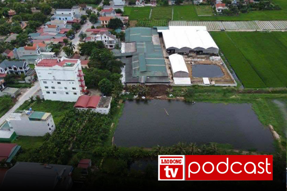 Nouvelles du matin du 20 septembre : Le proprietaire d'une ferme bovine construite illegalement condamne a une amende de 4 millions de VND