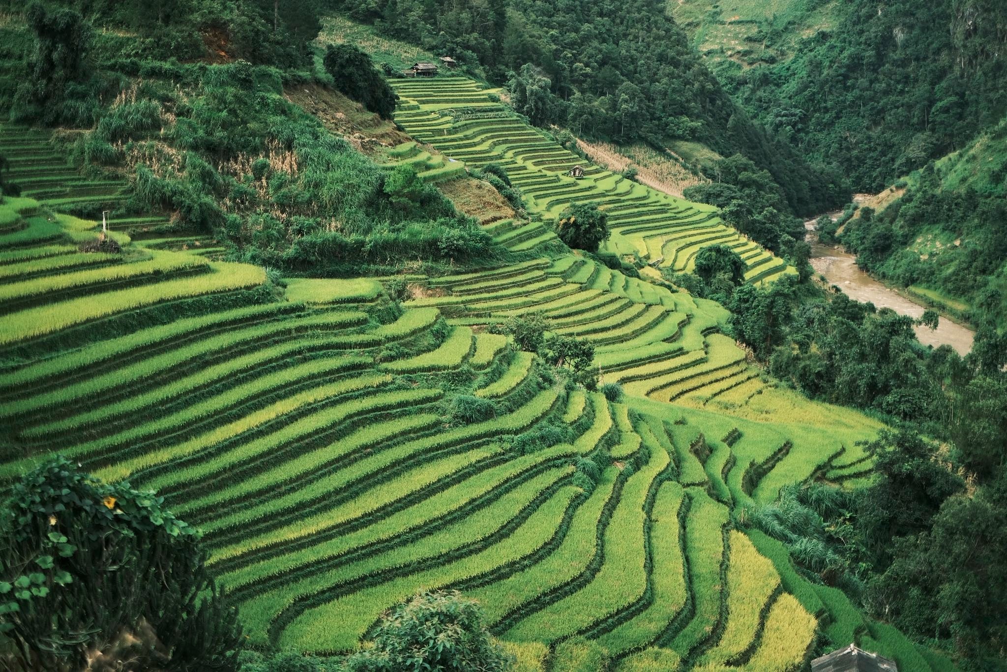 Trong 3 ngay 2 dem, Dat co ghe tham cac dia diem: doi Mong Ngua, doi Mam Xoi, ruong bac thang Mui Giay, ban Lim Thai, deo Khau Pha... Ba ngay la thoi gian vua du de di chuyen cung nhu tham quan.