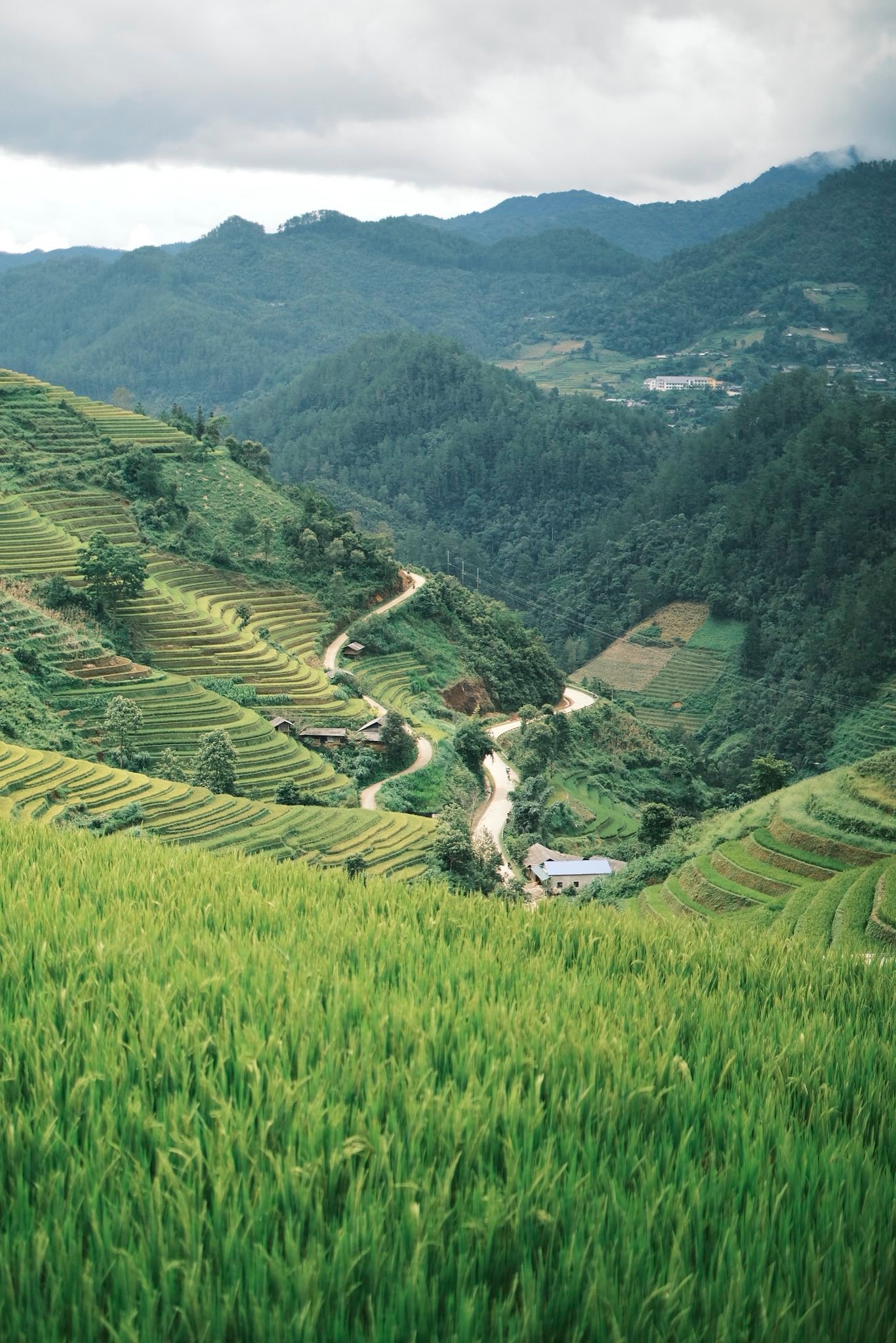 Dat chia se: “Duong di o Mu Cang Chai kha xoc, gap ghenh, neu di chuyen nhieu nen lua chon phuong tien phu hop nhu xe giuong nam tu Ha Noi len, thue xe oto rieng, thue xe may xe om cua dan ban dia...”