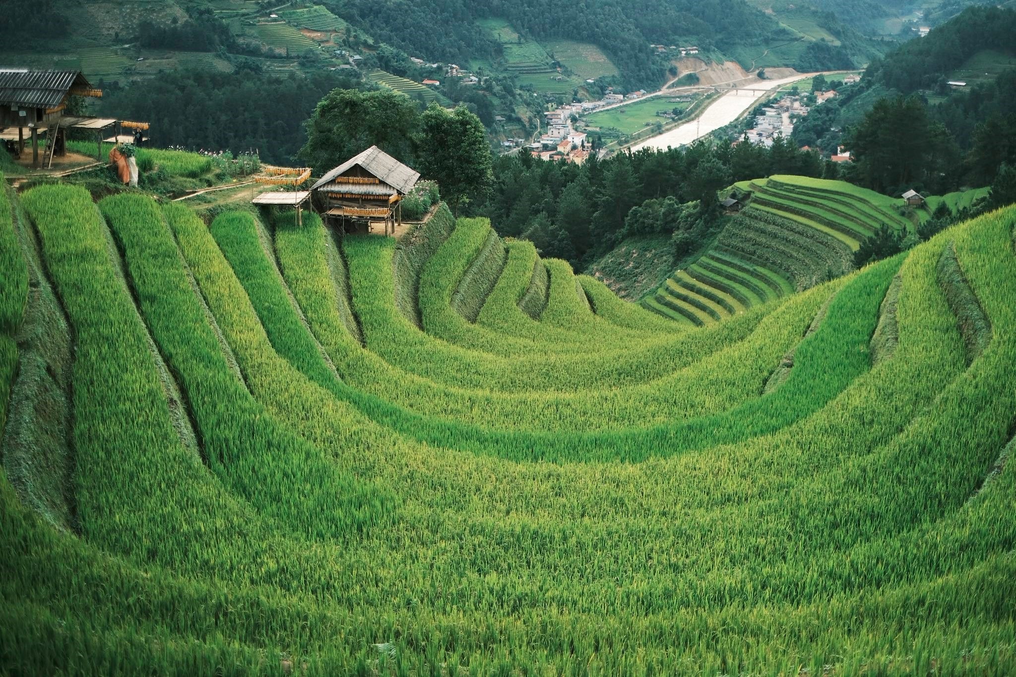 Khung canh doi Mong Ngua, mot dia diem thuoc xa La Pan Tan cu (nay la xa Pung Luong). Nhung thua ruong uon luon vong quanh nhu tung lop mong ngua noi tiep. Day la noi vua co the don binh minh hoac hoang hon, chup anh check-in de co nhung buc anh dac trung ve mua lua Mu Cang Chai.