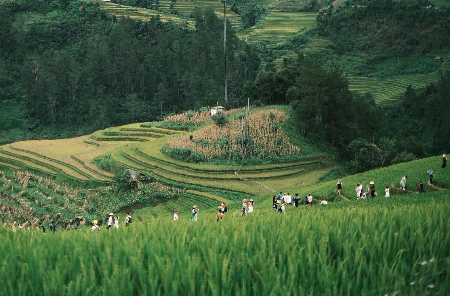 Du khach xep hang noi duoi nhau chup anh o doi Mam Xoi. Cuoi tuan luon la dip dong khach den check-in, nen dat truoc xe, phong o va bua an de co chuyen di suon se.