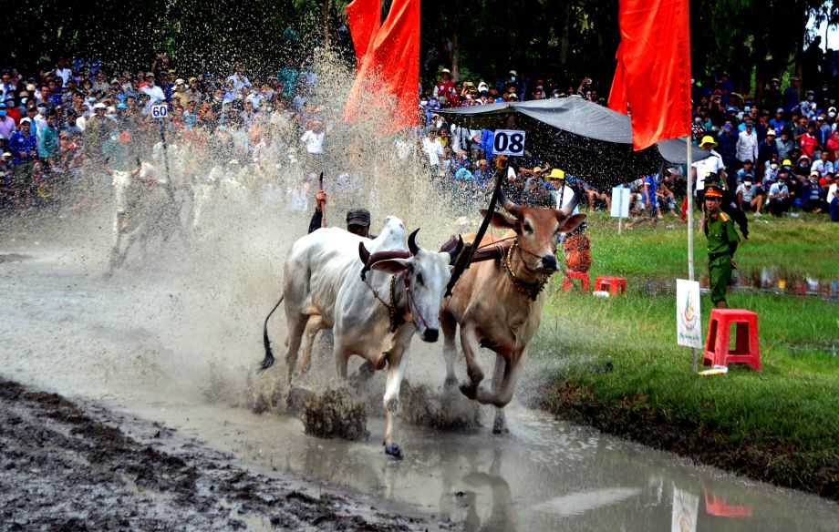 Voi su chuan bi chu dao, Giai dua bo Bay Nui nam 2025 hua hen mang den nguoi xem nhieu hinh anh dep mat, hap dan... Anh: Lam Dien 