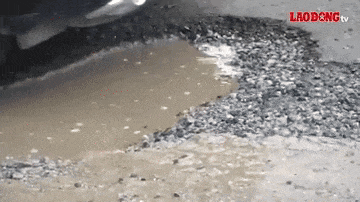 アンザン省を通過する国道61号線でゾウの罠を避けて心臓がドキドキ.