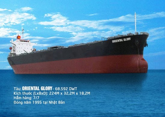 Le transport maritime de Phuong Dong connaît des difficultes commerciales et a un capital social negatif. Photo : OSTC