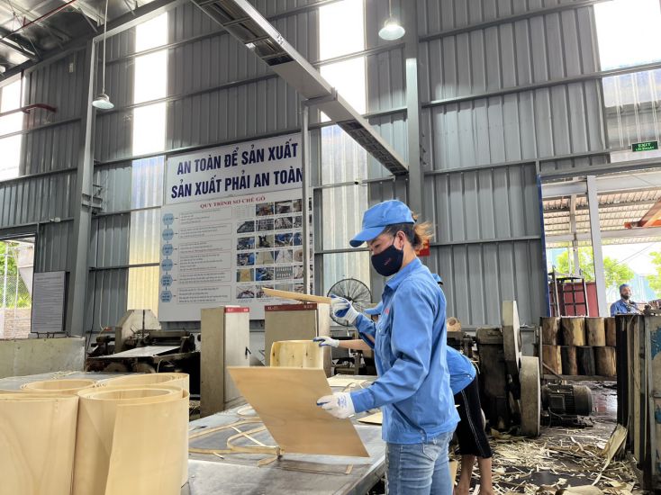 Le secteur economique prive est toujours confronte a de nombreux blocages institutionnels procedures administratives sources de capitaux... Photo : Tuyet Lan