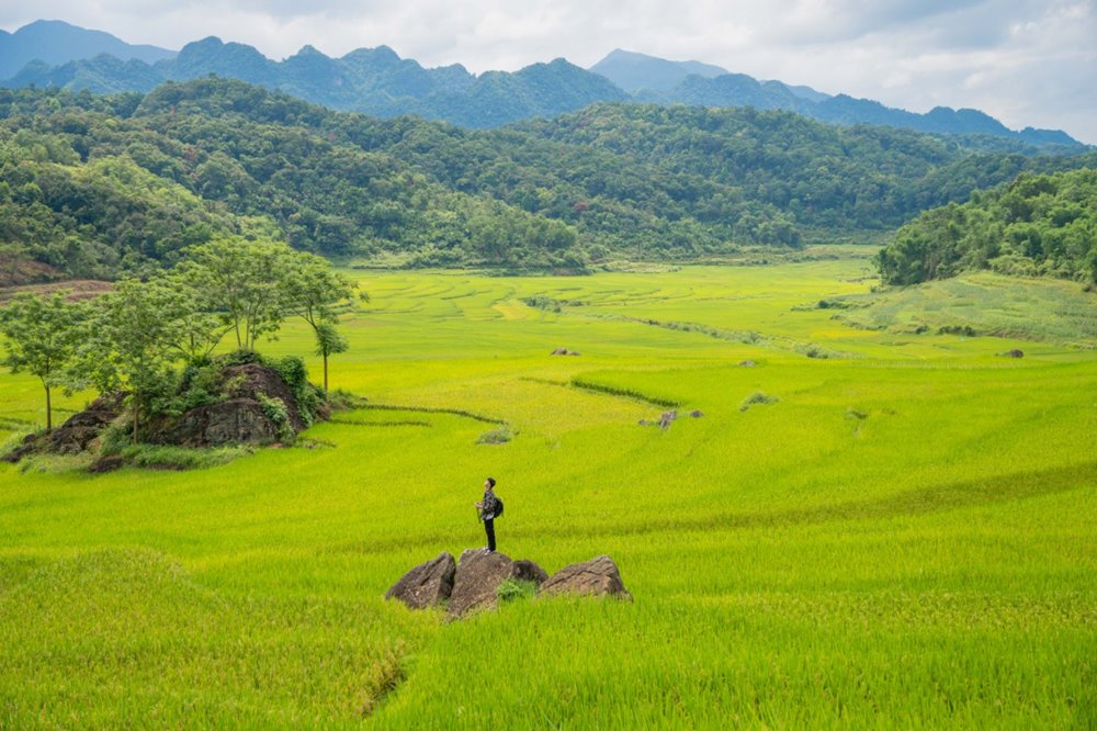 Anh: Pham Van Phong
