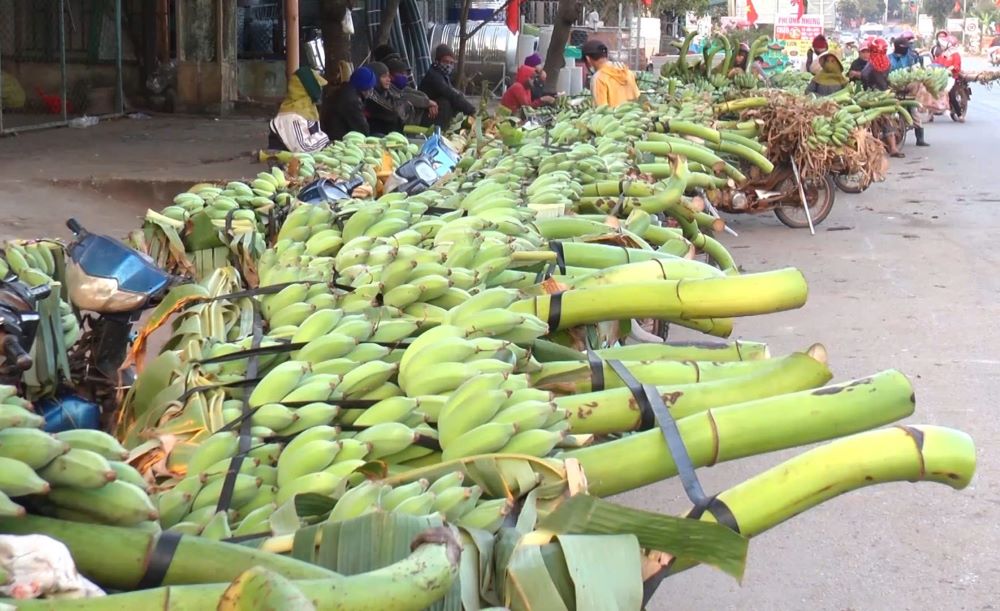 9月17日の事故発生前に、国道9号線と省道586号線の国道3号線付近で、おなじみの蜂蜜バナナを販売している人々の写真。写真:Hung Tho