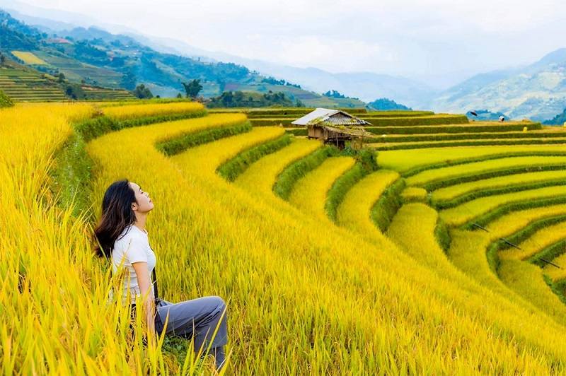 Nhung ruong bac thang chin vang o Xim Vang niu chan du khach. Anh: Nhat Minh